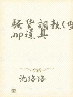 骚货调教(双性,np道具