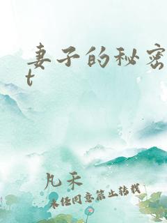 妻子的秘密txt