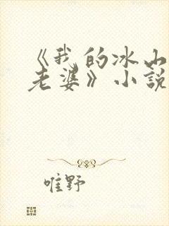 《我的冰山总裁老婆》小说