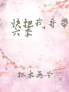 快把我哥带走第六季