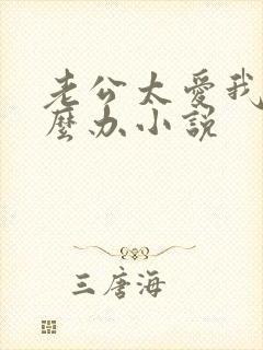 老公太爱我了怎么办小说