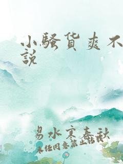 小骚货爽不爽小说