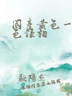 国产黄色一级黄色录相