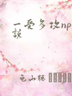 一受多攻np小说
