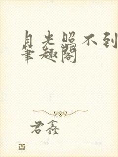 月光照不到gl笔趣阁