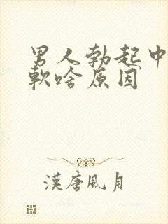 男人勃起中途变软啥原因