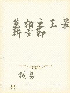 万相之王最新更新章节