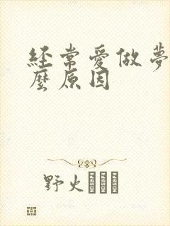 经常爱做梦是什么原因