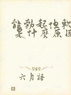 能勃起但软的快 是什么原因