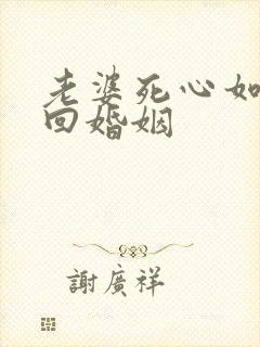 老婆死心如何挽回婚姻