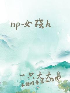 np女强h