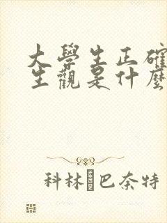 大学生正确的人生观是什么