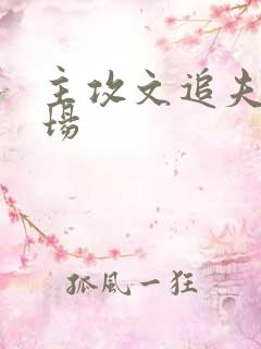 主攻文追夫火葬场