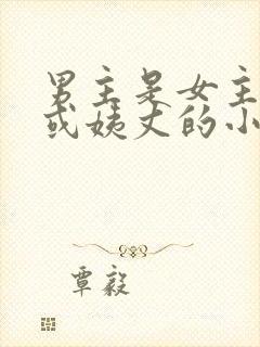 男主是女主姑父或姨丈的小说