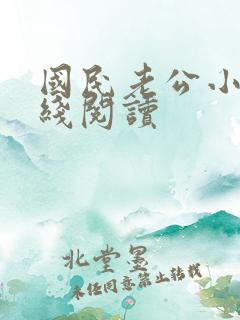 国民老公小说在线阅读