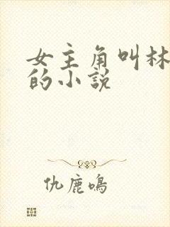 女主角叫林暖暖的小说