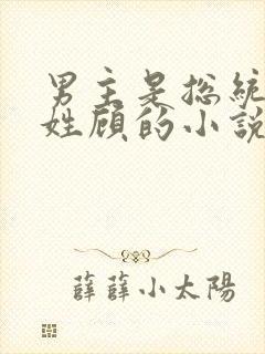 男主是总统女主姓顾的小说