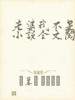 老婆我不是傻子小说全文阅读