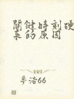 关键时刻硬不起来的原因