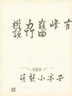 权力巅峰有声小说竹曲