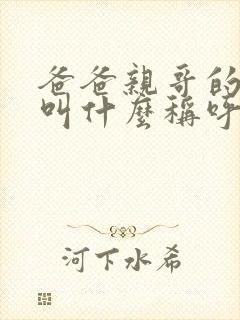 爸爸亲哥的老婆叫什么称呼