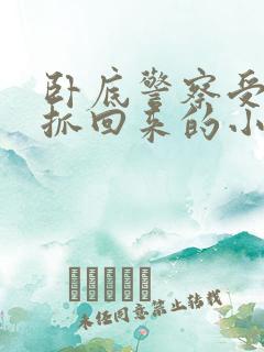 卧底警察受逃跑抓回来的小说