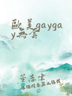 欧美gaygay无套
