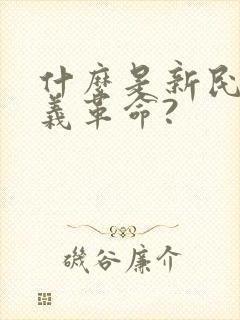 什么是新民主主义革命?