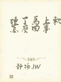 硬了马上软了是怎么回事