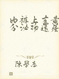 内裤上有黄黄的分泌物还瘙痒是怎么回事