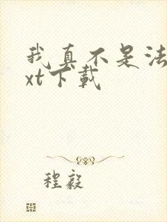 我真不是法爷txt下载