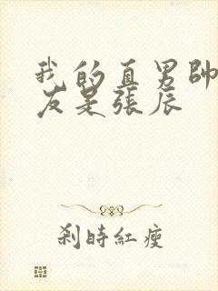 我的直男帅哥室友是张辰