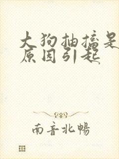 大狗抽搐是什么原因引起