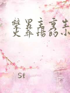 双男主重生追夫火葬场的小说