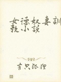 女德奴妻训诫调教小说