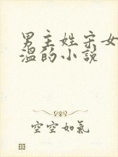 男主姓宋女主姓温的小说