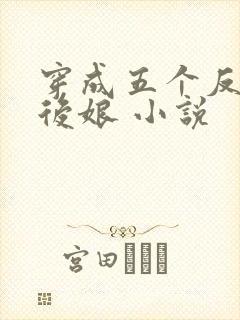 穿成五个反派的后娘 小说
