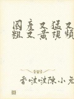 国产又猛又硬又粗又黄视频