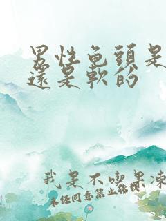 男性龟头是硬的还是软的