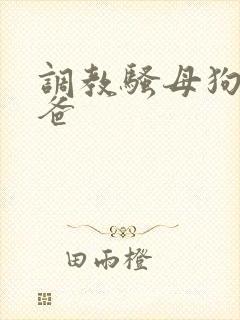 调教骚母狗叫爸爸