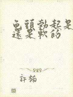 龟头勃起是硬的还是软的