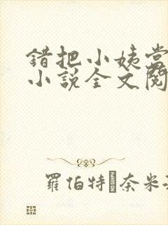 错把小姨当老婆小说全文阅读