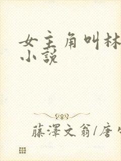 女主角叫林茜的小说