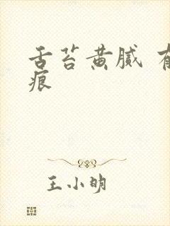 舌苔黄腻 有齿痕