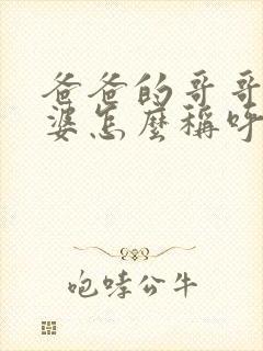 爸爸的哥哥的老婆怎么称呼