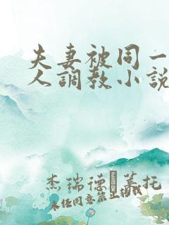 夫妻被同一个主人调教小说