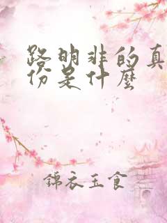 路明非的真实身份是什么