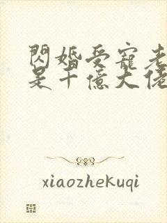 闪婚受宠老公竟是千亿大佬