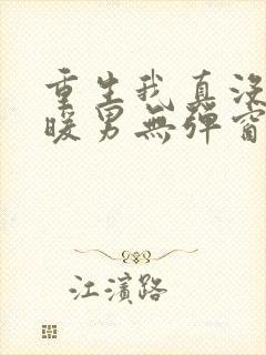 重生我真没想当暖男无弹窗