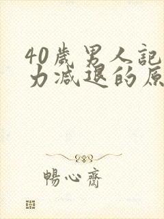 40岁男人记忆力减退的原因